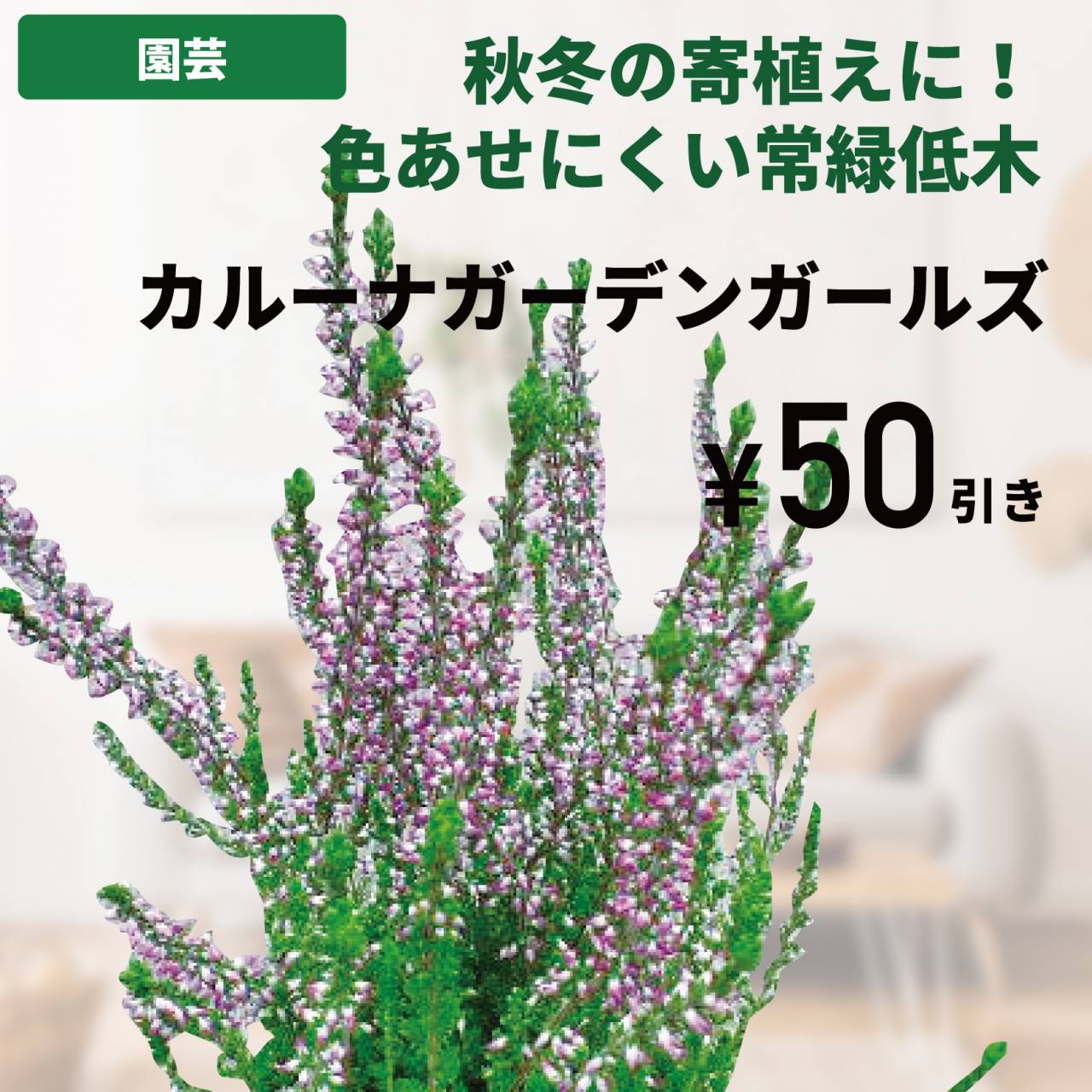 株式会社ホームセンターアグロ 飾西店