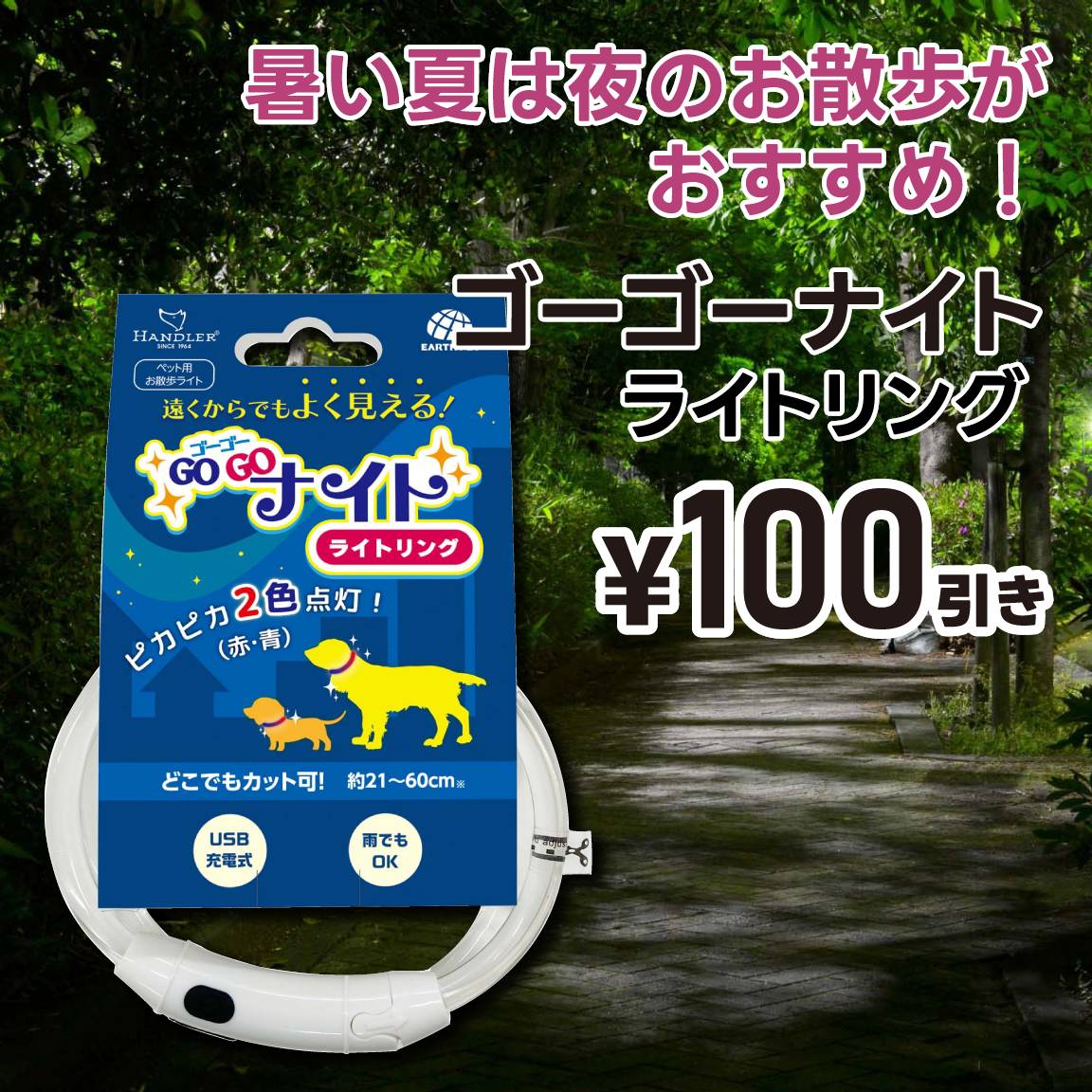 【100円値引き】ＨＤゴーゴーナイト(通常価格1,490円)