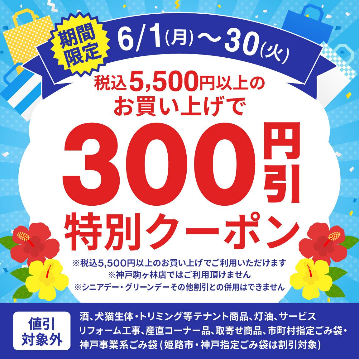 【6月アプリ会員様限定】税込5,500円以上のお買い上げで300円値引クーポン