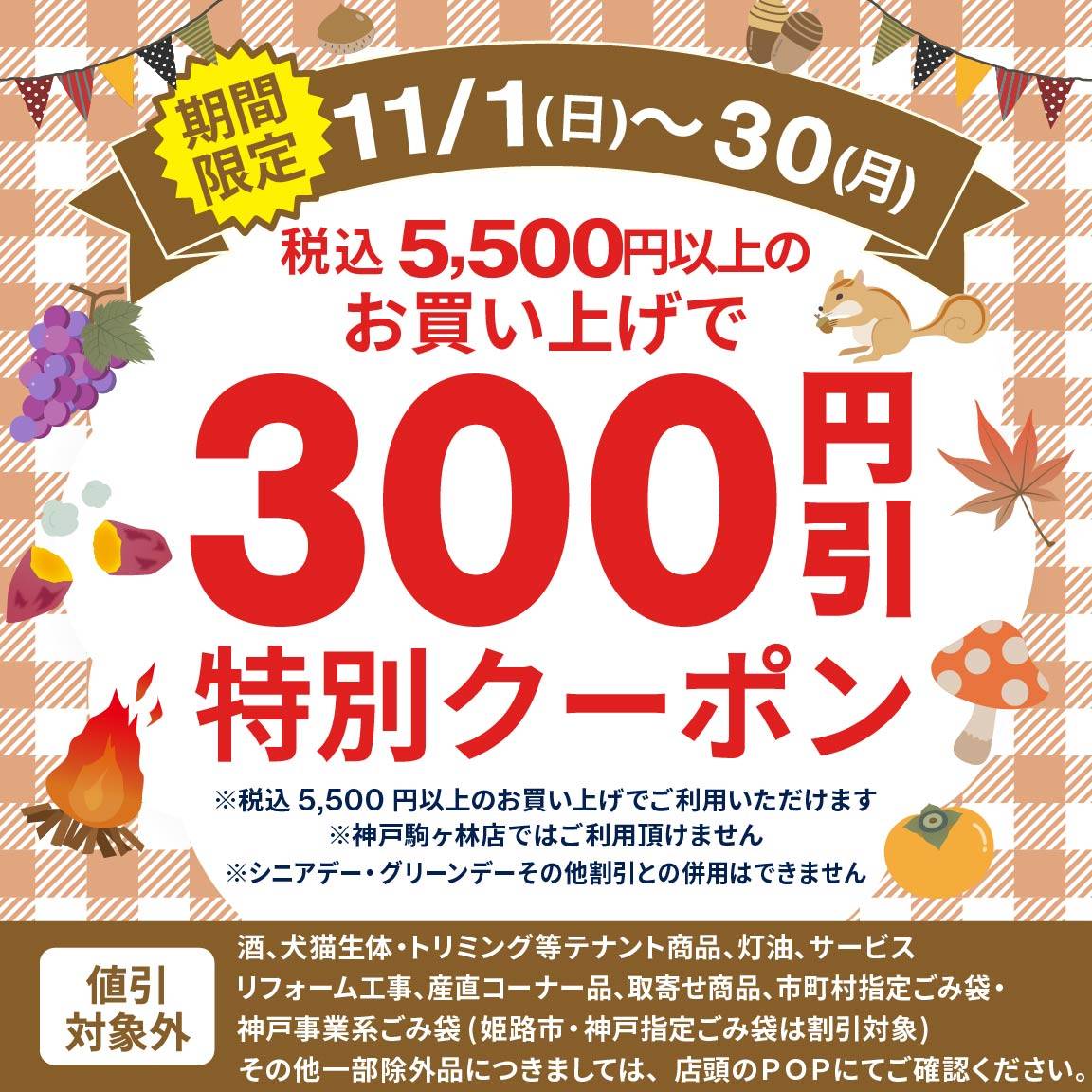【11月アプリ会員様限定】税込5,500円以上のお買い上げで300円値引クーポン